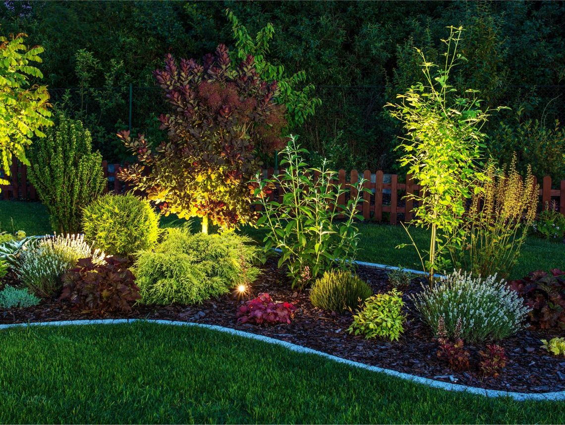 An outside garden lit up
